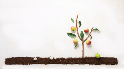 Springtime gardening composition on neutral background.