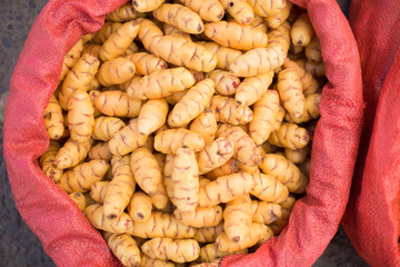 Photograph of Peruvian tuber called 