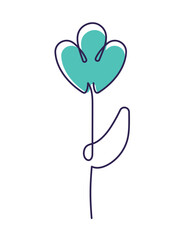 colorful one line flower