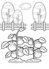 Tomato Tree Plants Coloring Pages A4 for Kids and Adult