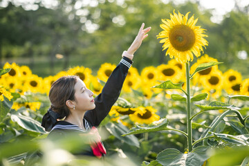 Woman wearing cosplay Japanese school uniform at sunflower garden outdoor.