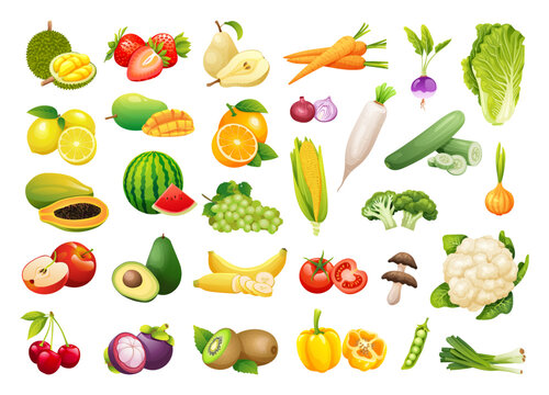 Collection of fresh fruits and vegetables in cartoon style