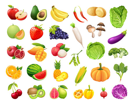 Set of organic fruits and vegetables vector illustration
