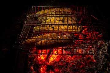 Delicious Grilled Mexican Corn cobs Vegetables On Barbecue Sweetcorn picnic embers charcoal...