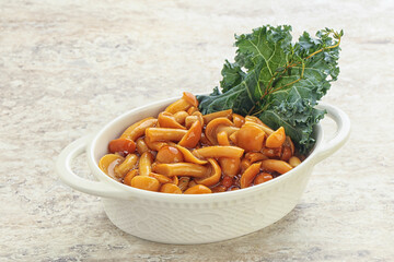 Wild pickled honey mushroom in the bowl