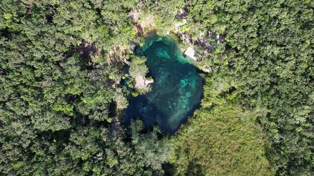 Mexican Cenote in Tulum Jungle 