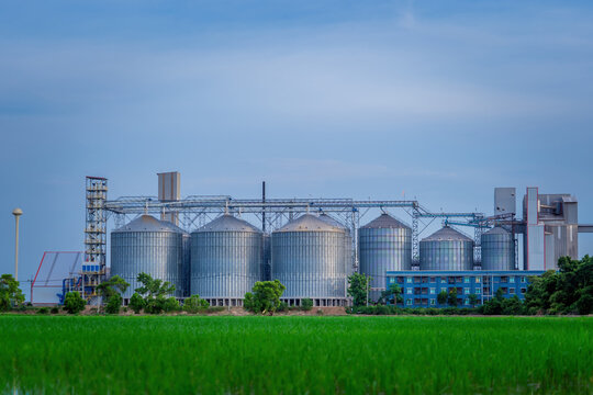 Factory with a green field.environmentally friendly factory with roof greening.Industrial factory and green fields 