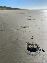 Horse hoof prints on the beach