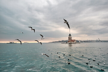 Fototapeta na wymiar seagulls flying over the sea of marmara and maiden's tower during sunset.