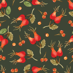 Rose hips and berries watercolor seamless pattern on dark background