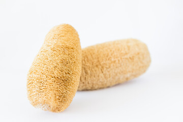 Dry luffa sponge on white background, natural fiber product for skin cleaning