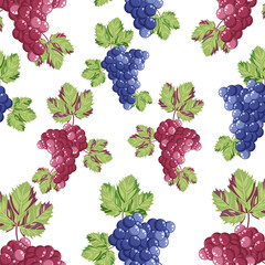Seamless pattern grape brush,red and blue grapes on a white background.Vector pattern can be used for juice and wine packaging.in textiles, winemaking designs.