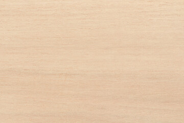 Plywood texture background, wooden surface in natural pattern for design art work.