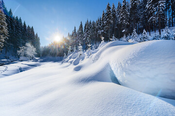 Obraz premium Wonderful mountain winter landscape with snow-covered coniferous trees. Greeting card Merry Christmas concept.