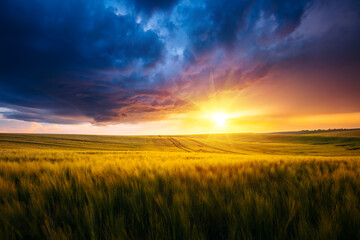 Spectacular storm clouds over the agricultural land in the evening.