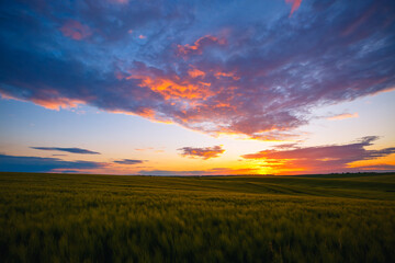 Dramatic sunset over the agricultural land in the evening.