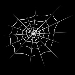Vector illustration of cobweb for halloween in white color
