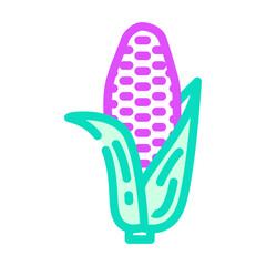 purple corn color icon vector. purple corn sign. isolated symbol illustration