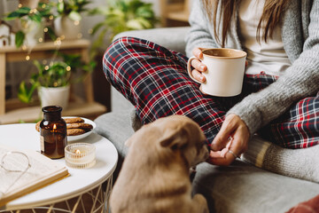 Cozy woman in knitted winter warm socks and sweater and checkered pajama eating cookies with dog, during resting on couch at home in Christmas holidays. Autumn hot drink mug of cocoa or coffee