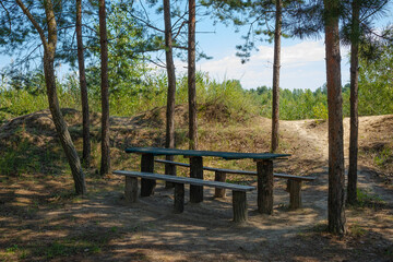 Wooden table and benches in a coniferous forest on a sunny day without people