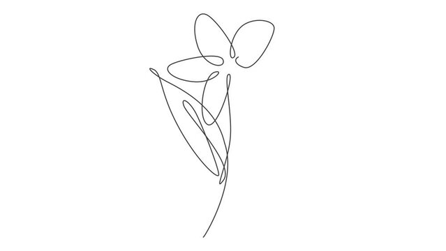 Animated self drawing of continuous line draw beautiful abstract lily flower. Minimal fresh beauty natural concept. Home wall decor, poster, tote bag, fabric print. Full length single line animation.