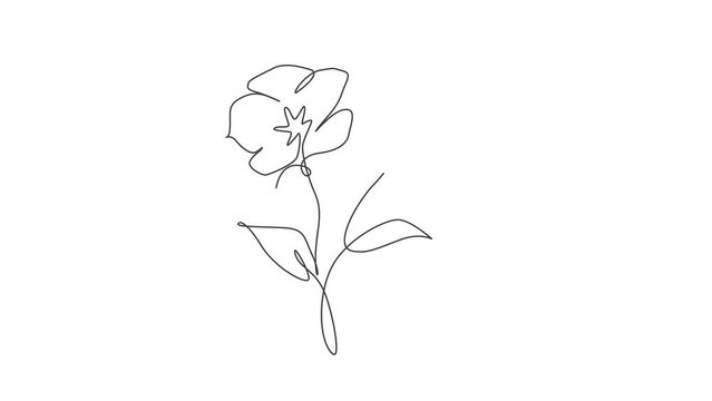 Animated self drawing of continuous line draw beautiful abstract lily flower. Minimal fresh beauty natural concept. Home wall decor, poster, tote bag, fabric print. Full length single line animation.
