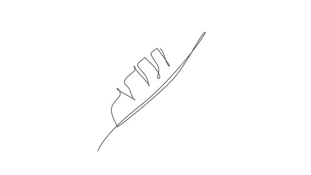 Animation of one line drawing botanical banana leaf. Tropical leaves minimalistic style, floral pattern concept for poster, wall decor print. Continuous line self draw animated. Full length motion.