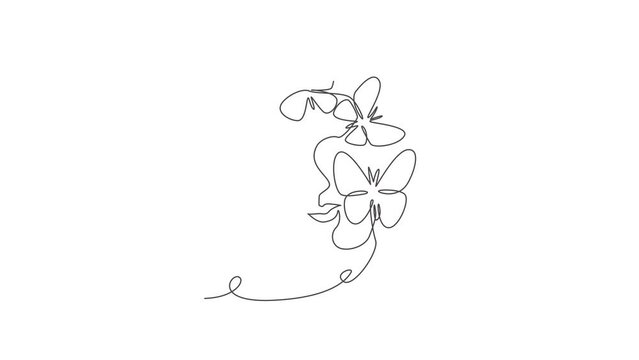 Animated self drawing of single continuous line draw beauty woman with butterfly artwork. Botanical, fashion, t-shirt print. Portrait minimalistic style concept. Full length one line animation.