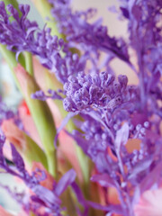 Bouquet composition with blue dry branch and gladiolus. Beautiful gladiolus flowers. gentle beautiful pastel romantic floral composition.Postcard, congratulations