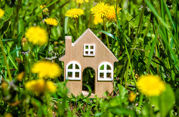 The symbol of the house stands among the yellow dandelions
