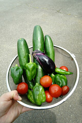 夏野菜