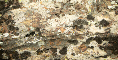 Stone texture or background. Natural material