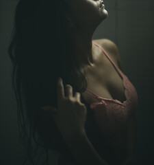 Obraz premium Brunette woman in toilet wearing pink bra underwear. Lifestyle