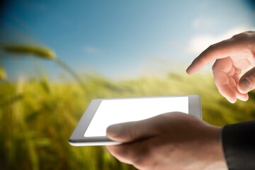 A farmer works with his tablet in a field. An agronomist walks the earth, assessing a plowed field in autumn. Agriculture. Smart farming technologies.