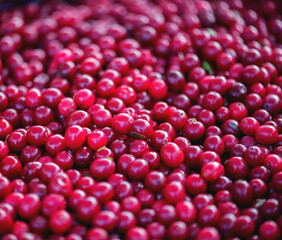 Closeup of Cranberries 