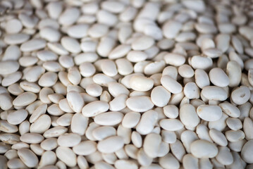 Great Northern Beans texture background. Also called white kidney beans, these beans have a smooth texture, and delicate flavor.