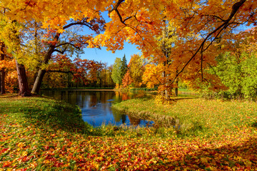 Golden autumn (fall) in Alexander park, Tsarskoe Selo (Pushkin) Saint Petersburg, Russia