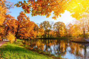 Alexander park in autumn foliage, Pushkin (Tsarskoe Selo), Saint Petersburg, Russia