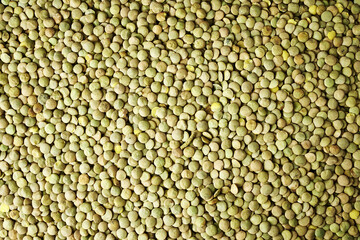 screensaver in the background with lentil grains close-up
