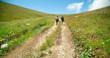 Ground road in nature. Armenia. Summer