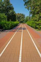Obraz premium Bicycle path in a green city park in summer on a sunny day