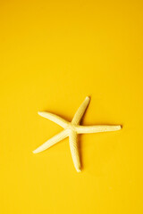Starfish on a yellow background. - Summer concept.