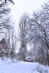 Carpathian Winter landscape with snow-covered trees and houses