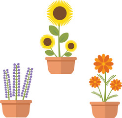 Set of home plants. Illustration in doodle style. For banner, card, greeting. Editable vector EPS8.