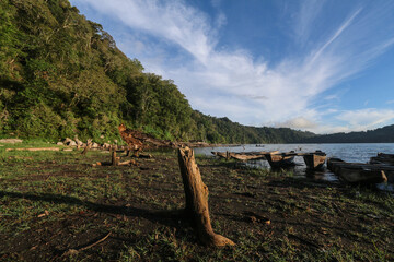 Fototapeta na wymiar Environment Landscape View in Tamblingan Lake
