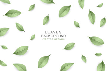 Green leaves background with copy space