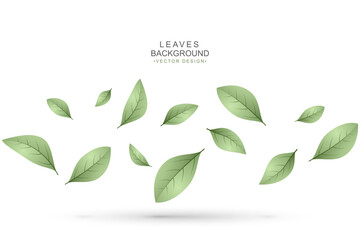 Green leaves background with copy space