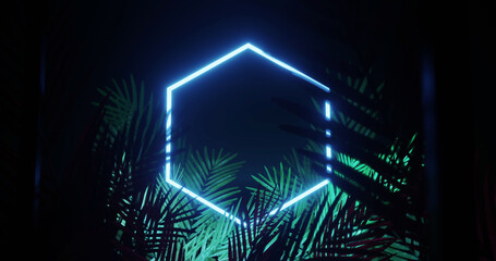 Image of leaves over blue neon hexagon on black background