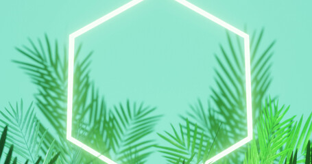 Image of leaves over white neon hexagon on blue background