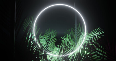 Fototapeta na wymiar Image of leaves over white neon circle on black background